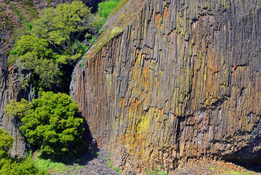 Basalt face of Coal Canyon, Butte County, California