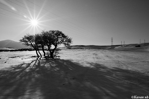 winter sunset shadow sun snow tree canon landscape iran hill sigma iranian 1770 sunray kurdistan sanandaj kavan kordestan 400d