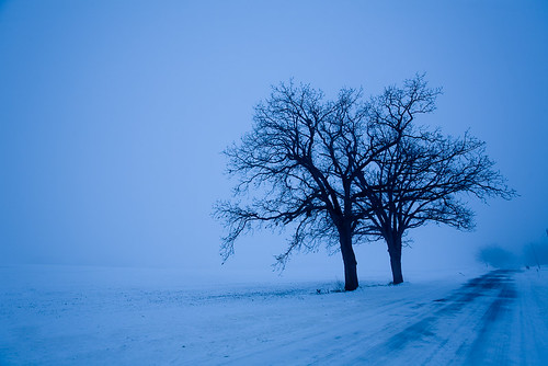 road blue winter white snow black cold nature field weather fog wisconsin rural canon landscape midwest december bare empty horizon country 5d remote lonely 2008 barren canonef1740mmf4lusm treed 17mm roadlesstraveled canoneos5d lorenzemlicka