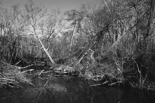railroad bridge trees blackandwhite film river landscape virginia nikon fuji lowlands 1600 neopan marsh f3 broad manualfocus 50mmf14 redfilter swampy chickahominy autaut thechick bokehsmokeh f8orgreater