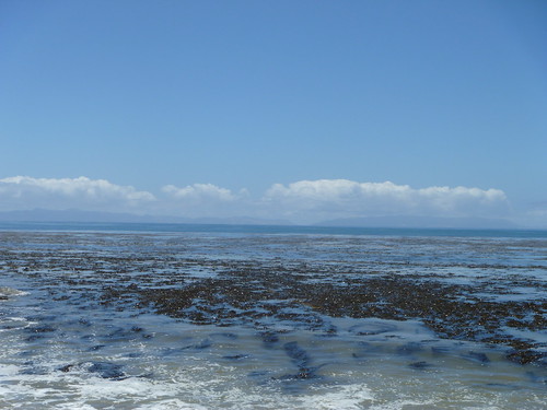 ocean island los pacific twin kelp harbors 2011 catlina aneles