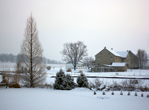 trees winter snow backyard farm pa lititz