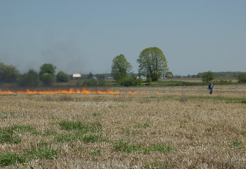 field geotagged fire michigan farm d70s farmer infiles sigma2880mm3556d