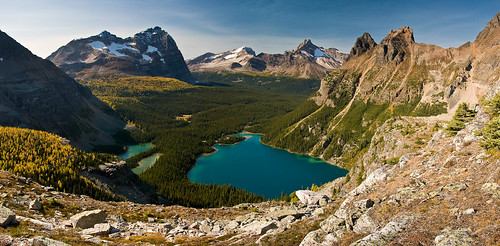 autumn panorama terrain lake canada fall nature beautiful landscape high view outdoor altitude scenic bluesky nopeople scene alpine vegetation vista northamerica backcountry jagged remote rockymountains elevation majestic larch picturesque far rugged yoho freshwater lakeohara pristine environments expanse canadianrockies magnificence grandness remoteness treesforests zoomify
