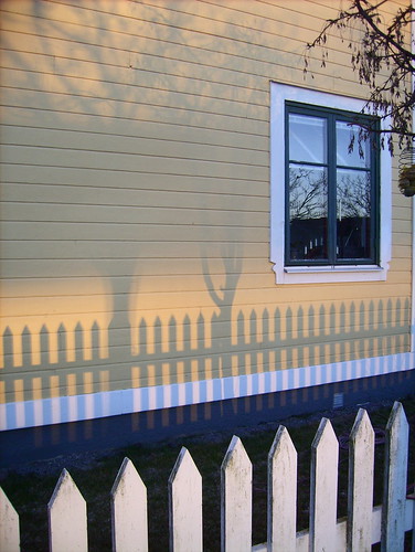 light sunset shadow window fence wooden sweden sverige scandinavia karlskrona blekinge ekholmen terrascania