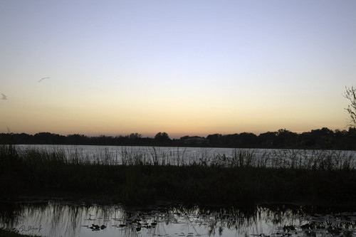 sunset lake fl lakeland hdr landscapehdrlakeland