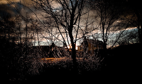 trees sunset backlit cootesstore photoblog2009