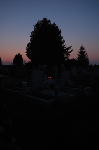 sunset tree cemetery silhouette hungary tombstone hu fa pinewood napnyugta komáromesztergom temető sírkő sziluett fenyőfa kisbér