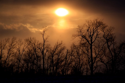 trees sunset sun snow tree nature clouds canon landscape photography outdoor kentucky eos40d