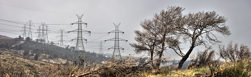 panorama forest canon fire published athens greece burn hdr photomatix penteli canonef100mmf28macrousm pendeli φωτιά canoneos40d πεντέλη toomanytribbles