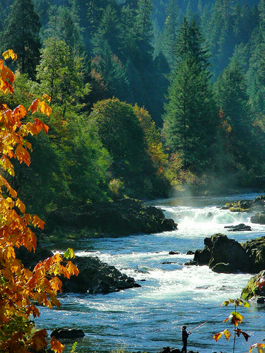mist fall colors oregon river fishing fallcolor waterfalls northumpqua gordoncottrell