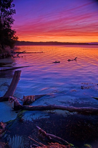 sunset tree beach water clouds geotagged weed australia driftwood stgeorgesbasin geo:lat=35136335 geo:lon=150647814
