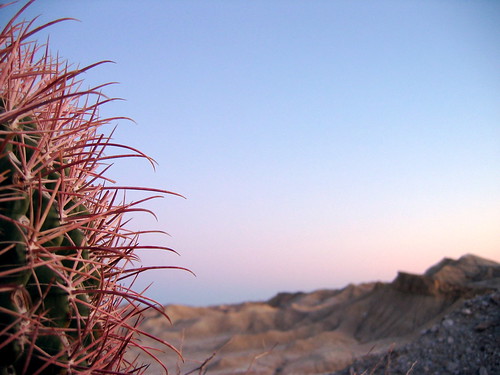 california sunset cactus mountains closeup landscape desert vista anzaborrego fishcreekwash