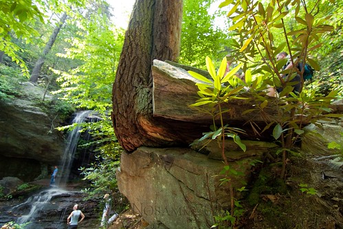 tree water nc rocks roots northcarolina falls waterfalls trunk growing hangingrock thru ndx8 nd09 tokinaatx116prodx