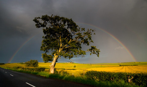sunset tree scotland rainbow aberdeenshire inverurie garioch