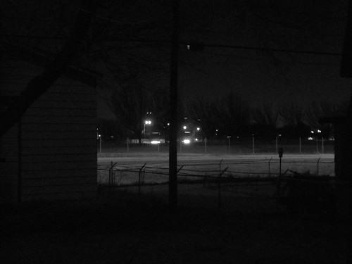 park street bw white black tree cars grass night lights garage