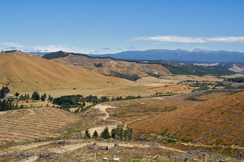 newzealand countryside debris fields tasman deforestation