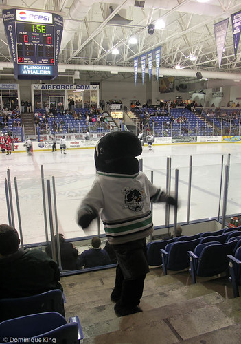 Plymouth Whalers 4