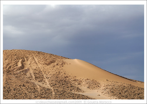 africa nature landscape geotagged mar sand desert dune morocco soussmassadrâa geo:lat=2983764067 geo:lon=606651600 deuxchasse