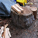 wood pile ready DSCN7156