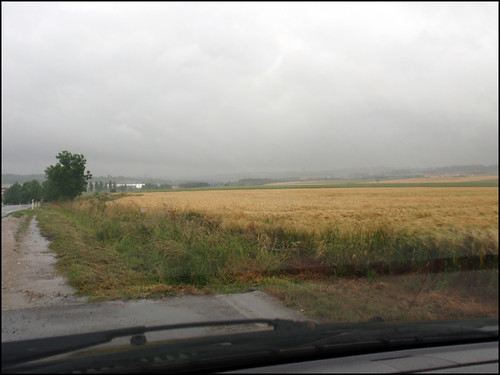nature field rain landscape view pluie rainy paysage vue champ décor pluvieux