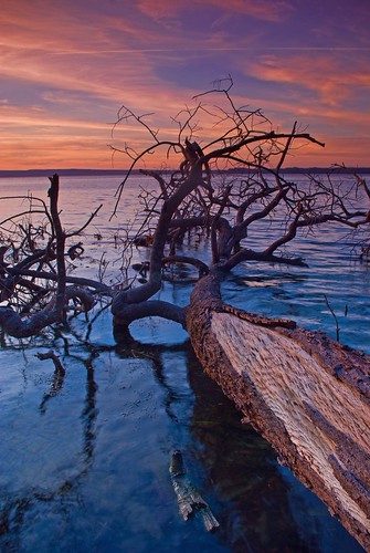 sunset tree beach water clouds geotagged dead branch australia stgeorgesbasin geo:lat=35141143 geo:lon=150643008