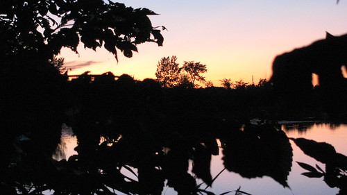 sunset leaves pond september stlawrenceriver