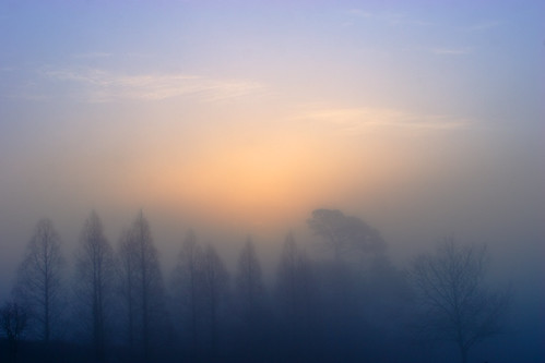 uk blue trees england orange 20d fog sunrise grey frost gloomy hampshire obscured hursley eos20d nikkor35f14 nikkor35mm114ai