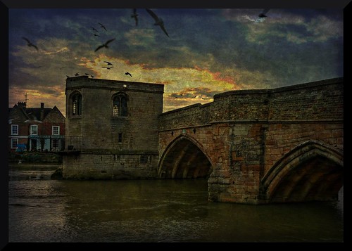 bridge winter england texture water birds stone river geotagged lumix gulls atmosphere medieval opensource stives hdr cambridgeshire textured quayside ghostbones greatouse huntingdonshire geo:lon=0075016 fz18 geo:lat=52322963