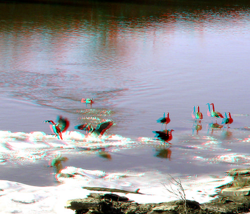 winter reflection bird ice water river geese stereoscopic stereophoto 3d rustic anaglyph iowa siouxcity redcyan 3dimages 3dphoto 3dphotos 3dpictures siouxcityia