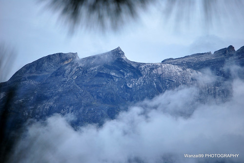 cloud pine peak mount mountkinabalu gunung sabah vf kinabalu kundasang tuaran ranau gunungkinabalu virtualfreindsnet wanzai99