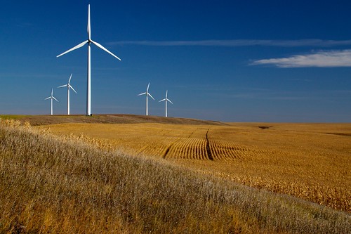 morning usa fall minnesota rural landscape corn energy unitedstates wind alternativeenergy electricity chandler mn windpower turbines windturbines