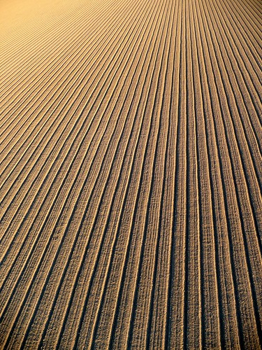above abstract landscape pattern aerial topdown agricultural