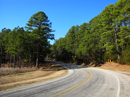 road wood travel blue trees sky usa green nature canon lights landscapes daylight scenery view state pavement south peaceful powershot pines daytime arkansas tranquil sx10is waltphotos hwy309