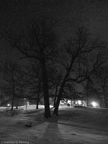 trees light snow landscape iso800 blackwhite shadows panasonic 2009 lincolnpark springfieldillinois mattpenning lx3 penningphotography panasonicdmclx3 wowiekazoweie