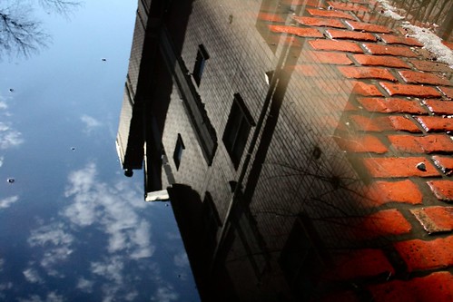 urban wickerpark chicago brick puddle illinois alley puddlereflection johnjcurtis