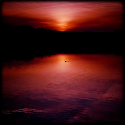 sunset red sky orange yellow duck purple cumbria daruma brampton vapourtrail talkintarn xpl canon70200f4lis canon5dmarkii