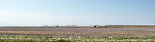 blue panorama canada color colour farm harvest standrews sk prairie saskatchewan agriculture 2009 thresher 2000s canadagood