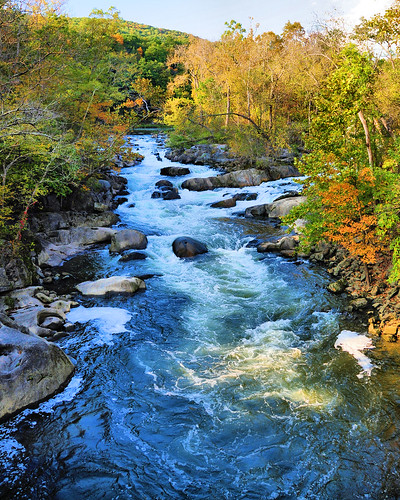 autumn fall water rocks colorful stream fallcolors imagebydesignworks
