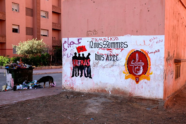 graffiti | crazy boys | marrakech . feb 2014