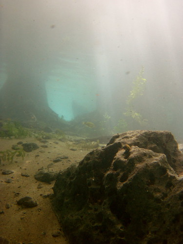 water underwater florida jackson springs marianna aquifer merrittsmillpond holeinthewallspring