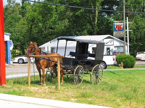 wood travel blue trees horse usa green canon daylight town view state country peaceful powershot amish daytime buggy tranquil kenucky sx10is waltphotos