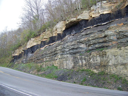 rock virginia kentucky geology coal seam roadcut