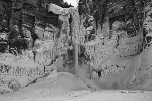 statepark winter usa ny newyork ice nature landscape outdoors frozen blackwhite waterfall nikon canyon falls waterfalls gorge amphitheater rim icicles taughannock icesculpture plunge trumansburg 215 taughannockfalls tompkinscounty abigfave platinumphoto anawesomeshot theunforgettablepictures