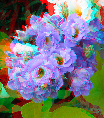 park flower stereoscopic stereophoto 3d anaglyph iowa siouxcity redcyan 3dimages 3dphoto 3dphotos 3dpictures siouxcityia
