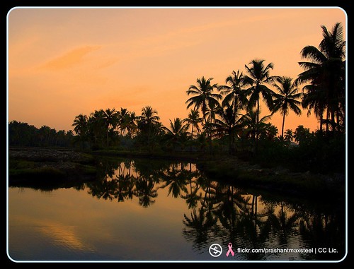 india reflection nature river evening kerala picnik trissur pullut kodangaloor keralatrip09 rivermarsh kozhikada
