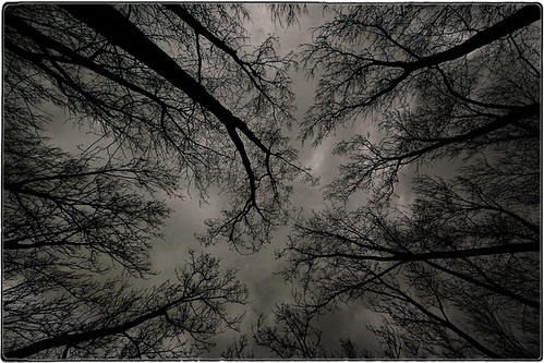 trees winter sky storm cold art nature monochrome clouds landscape geotagged solitude experiment silence conceptual melkor