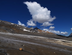 On Athabaska glacier