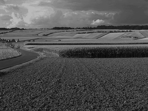 road field rural landscape austria strasse feld crops 10000 landschaft marychapincarpenter loweraustria niederoesterreich ackerboden imonabreak raipoltenbach