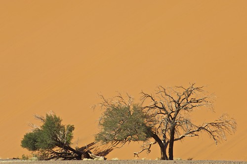 landscape sand dunes dune namibia sossusvlei afzoomnikkor80200mmf28ed nikonflickraward